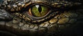 Close up of a crocodiles greeneyed eye, a mesmerizing sight in wildlife art Royalty Free Stock Photo