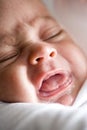 Close-up cropped face of newborn baby boy crying