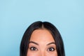 Close up cropped photo of adorable lovely impressed woman with straight hairdo staring eyes wide open  on blue Royalty Free Stock Photo