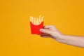 Close up cropped photo of female hold in hand french fries potatoes isolated on yellow orange wall background. Copy