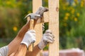 Close up cropped photo of two workers in white protective gloves holding plank board installing it on special house hold Royalty Free Stock Photo