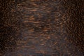 Close-up cross-sections of brown wood texture of palm trees. Coconut tree. Wood products. Royalty Free Stock Photo