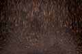 Close-up cross-sections of brown wood texture of palm trees. Coconut tree. Wood products. Royalty Free Stock Photo