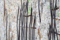 Close up of the crumbling remains of the Berlin Wall at the Wall Memorial, Germany. Segments of wall have been left as a reminder