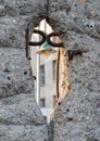 Close up of the crumbling remains of the Berlin Wall at the Wall Memorial, Germany. Segments of wall have been left as a reminder