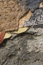 Close up of crumbling wall with layers of peeled paint 8 Royalty Free Stock Photo