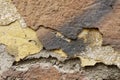 Close up of crumbling wall with layers of peeled paint 6