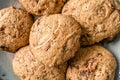 Close up on crunchy oatmeal chip cookies fresh baked biscuits with chocolate Royalty Free Stock Photo