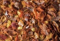 close-up of crushed dried chili pepper showing the fiery intensity of this spice