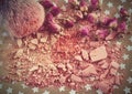 Close-up of crushed powder and blush beige color with makeup brush Royalty Free Stock Photo