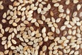 Close up of crust of the rye bread with sesame seeds Royalty Free Stock Photo