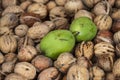 Close up crusted and raw walnuts on market stand Royalty Free Stock Photo