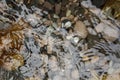 Close-up of crystal clear sea water with stones. Royalty Free Stock Photo