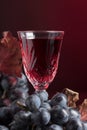 Crystal glass of red wine and grapes with dried vine leaves. Royalty Free Stock Photo