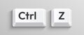 Close-up of Ctrl and Z keyboard keys, symbolizing the undo command. Royalty Free Stock Photo
