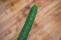 Close-up of cucumber