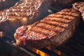 Close up culinary art Beef flank steak on the grill, irresistibly appetizing