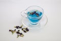 Butterfly pea flower tea Royalty Free Stock Photo