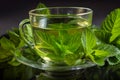 Close-up cup of mint tea with fresh leaf of mint Royalty Free Stock Photo