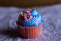 Close up of cupcake with unicorn sprinkles Royalty Free Stock Photo