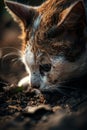A close up of curious cat exploring ground, showcasing its intricate fur patterns and focused expression. image captures essence
