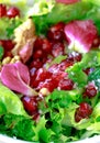 Close up of curly endive salad with pomegranate, nuts... Royalty Free Stock Photo