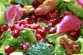 Close up of curly endive salad with pomegranate, nuts... Royalty Free Stock Photo