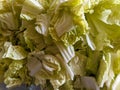 close up of cut chicory vegetable