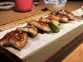 Close up cut grilled Japanese eel or unagi kabayaki with sesame on a plate. Japanese food style.