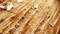 Close up of cut oak tree with sawdust shavings