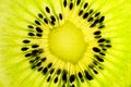 Close-up of a cut piece of kiwi seeds in a circle and the structure of the fruit