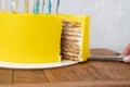 Close-up of a cutaway honey cake covered with yellow icing. Side view. Layer cake. Holiday baking