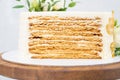 Close-up of a cutaway honey cake. Side view. Layer cake.