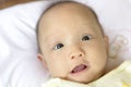 Close up of cute Asian baby. Royalty Free Stock Photo