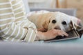 Woman Using Laptop with Dog Royalty Free Stock Photo