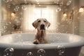 Close up of cute breed dog looks out of the bath. Sweet puppy washes and swims