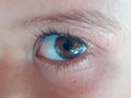 Close up cute child eye with eyelashes and face. Royalty Free Stock Photo