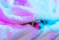Close-up cute face of domestic ferret stick out of warm blanket isolated on light background in pink neon light. Concept