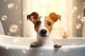Close up of cute Jack Russell Terrier breed dog looks out of the bath. Sweet puppy washes and swims. Generated by AI