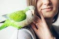 Close-up of cute Monk Parakeet. Friendly Green Quaker parrot is sitting on a woman`s shoulder at home. Girl is petting parrot.