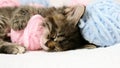 Close-up Cute tabby Cat sleeping with pink and light blue balls skeins of thread on white bed. Little curious kitten Royalty Free Stock Photo