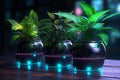 Close up cyberpunk three pots of plants on the board generative AI