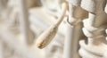 Close-up of a 3d printed bone structure in warm beige tones Royalty Free Stock Photo
