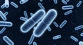 Close up 3 D render of blue rod shaped bacteria with flagella on dark background microbe Royalty Free Stock Photo