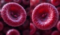 Red Blood Cells with Platelets