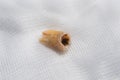 Close up of a damage and broken molar tooth on a white gauze. Royalty Free Stock Photo
