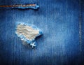 Close Up Damaged Jeans Royalty Free Stock Photo