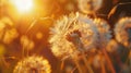 Close-up of a dandelion stamen in the air on a sunny day with extreme depth of field.