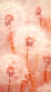 A close up dandelions flying airborne seeds on sunset peach pink colors background. Summer nature concept