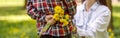 Close up of dandelions in small boy hand behind back before giving to mother. Flowers for mom. Royalty Free Stock Photo